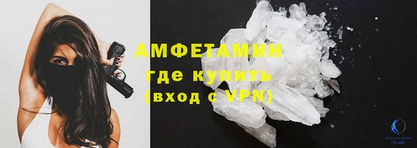 прущие грибы Балабаново