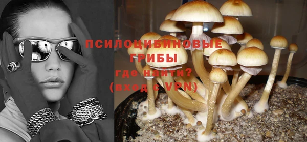соль ск Балахна