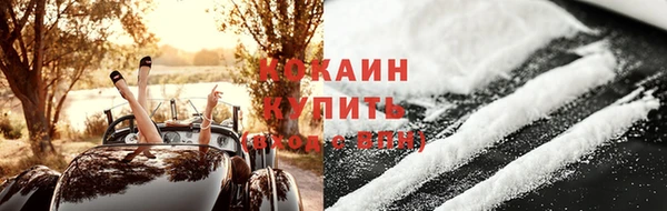 прущие грибы Балабаново