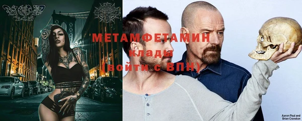 прущие грибы Балабаново
