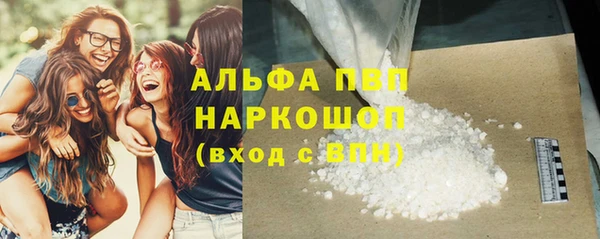прущие грибы Балабаново