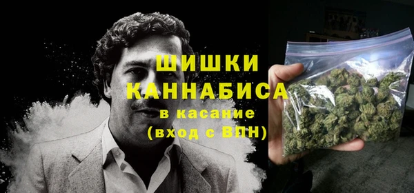 прущие грибы Балабаново