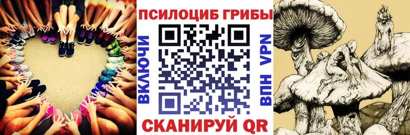 Галлюциногенные грибы мицелий Дивногорск